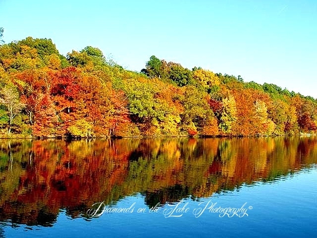 photographers-smith-mountain-lake-120