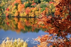 photographers-smith-mountain-lake-119